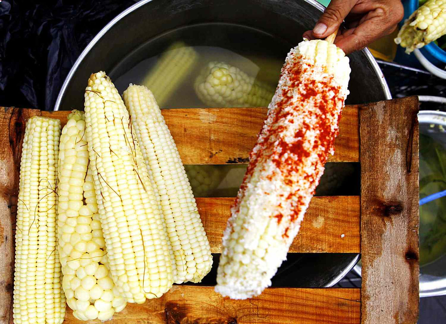 Viaje a la Feria del Elote - Jala 2025