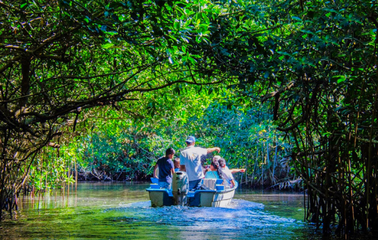 Viaje a la Isla de Mexcaltitán, San Blas y la Tovara