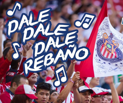 Travel to the Chivas vs Pumas game - Saturday February 24, 2024 