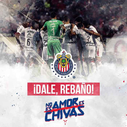 Viaje al partido de Chivas vs Querétaro  -  Sábado 20 de abril, 2024