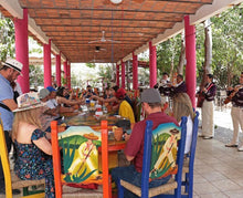 Cargar imagen en el visor de la galería, Tour a Tequila de Puerto Vallarta Jalisco Mexico - Ruta del Tequila