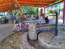 Cargar imagen en el visor de la galería, Tour a Tequila de Puerto Vallarta Jalisco Mexico - Ruta del Tequila