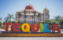 Cargar imagen en el visor de la galería, Tour a Tequila de Puerto Vallarta Jalisco Mexico - Ruta del Tequila