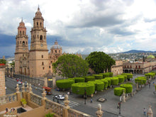 Cargar imagen en el visor de la galería, Viaje a la Mariposa 🦋 Monarca, Morelia, Janitzio, Pátzcuaro y Tzintzuntzán