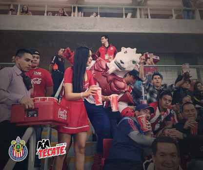 Viaje al partido de Chivas vs América  - Miércoles 15 de mayo, 2024