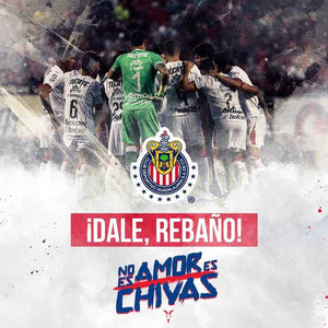 Viaje al partido de Chivas vs Atlas - Jueves 12 de Mayo