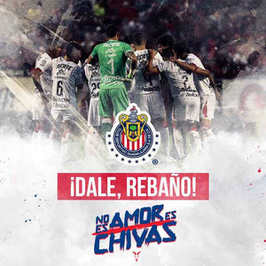 Viaje al partido de Chivas vs Toluca  - Sábado 21 de enero, 2023
