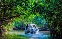 Cargar imagen en el visor de la galería, Viaje a la Isla de Mexcaltitán, San Blas y la Tovara