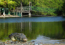 Cargar imagen en el visor de la galería, Viaje a la Isla de Mexcaltitán, San Blas y la Tovara
