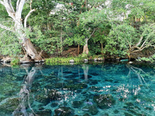 Cargar imagen en el visor de la galería, Viaje a la Isla de Mexcaltitán, San Blas y la Tovara