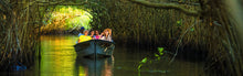 Cargar imagen en el visor de la galería, Viaje a la Isla de Mexcaltitán, San Blas y la Tovara