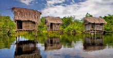 Cargar imagen en el visor de la galería, Viaje a la Isla de Mexcaltitán, San Blas y la Tovara