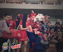 Cargar imagen en el visor de la galería, Viaje al partido de Chivas vs Necaxa  - Sábado 8 de abril, 2023