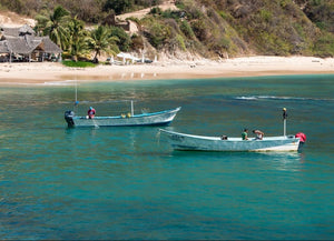 Viaje a Tehuamixtle
